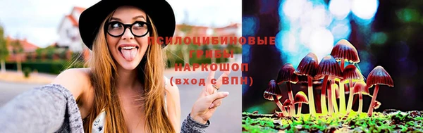 эйфоретик Бежецк
