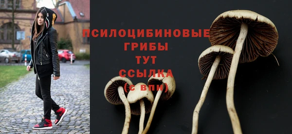 сатива Белая Холуница