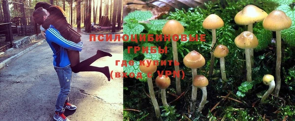 сатива Белая Холуница