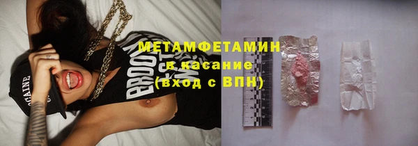 сатива Белая Холуница