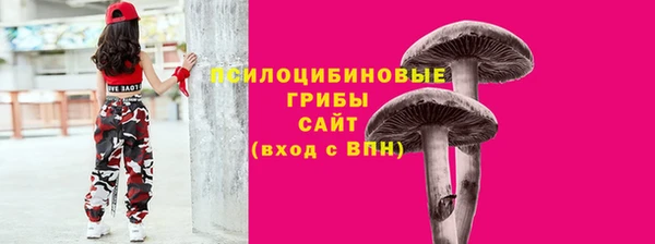 эйфоретик Бежецк