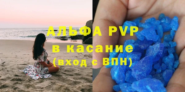 сатива Белая Холуница