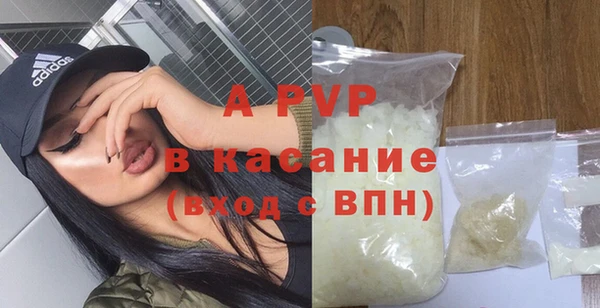 сатива Белая Холуница