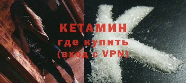 сатива Белая Холуница